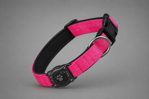 PawNest AirTag Dog Collar Combo