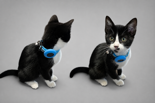 AirTag Cat Collar