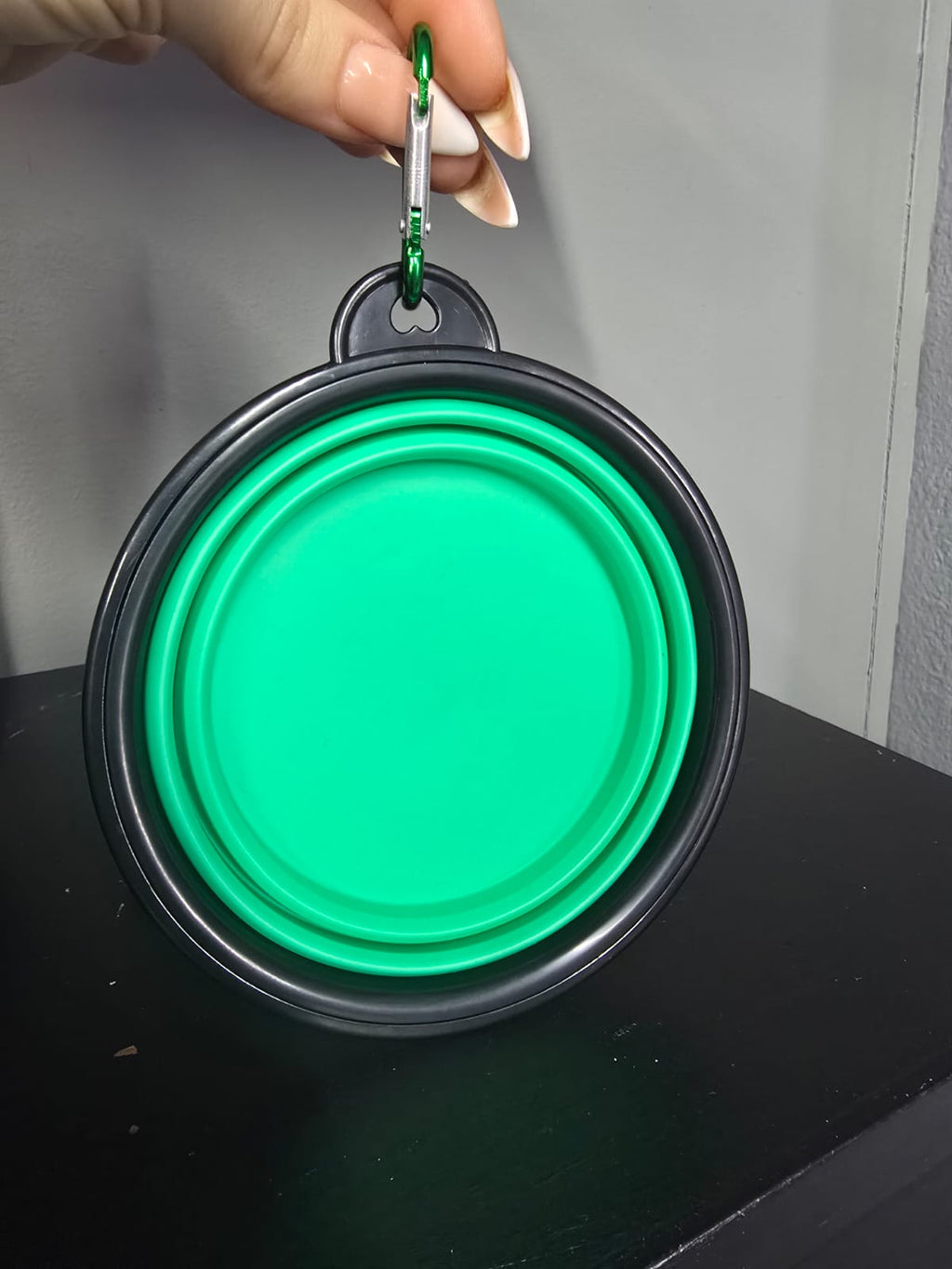 Portable Pet Folding Bowl