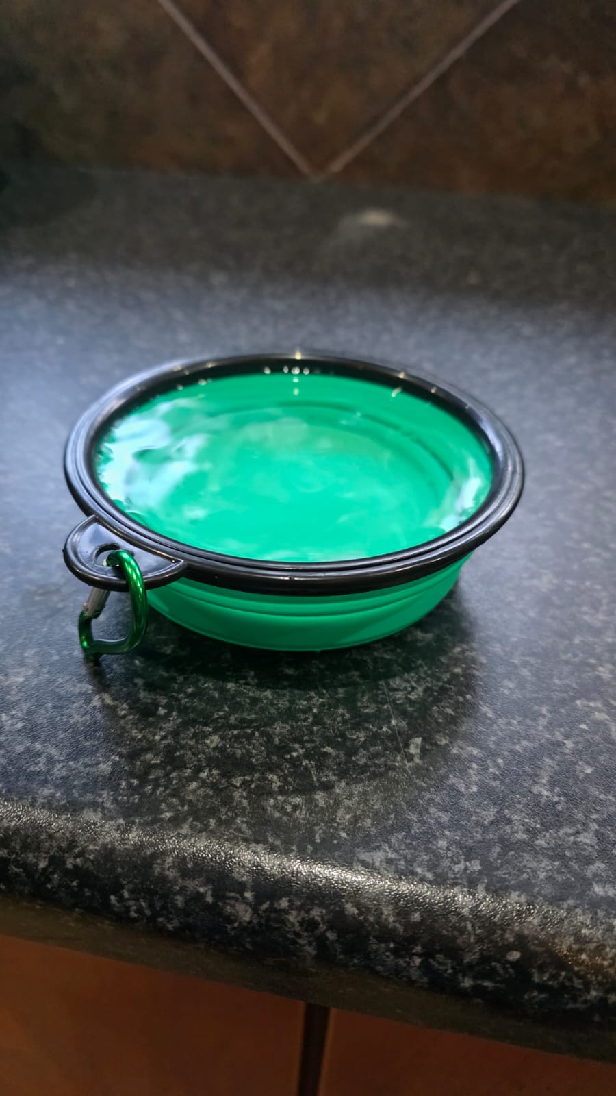 Portable Pet Folding Bowl