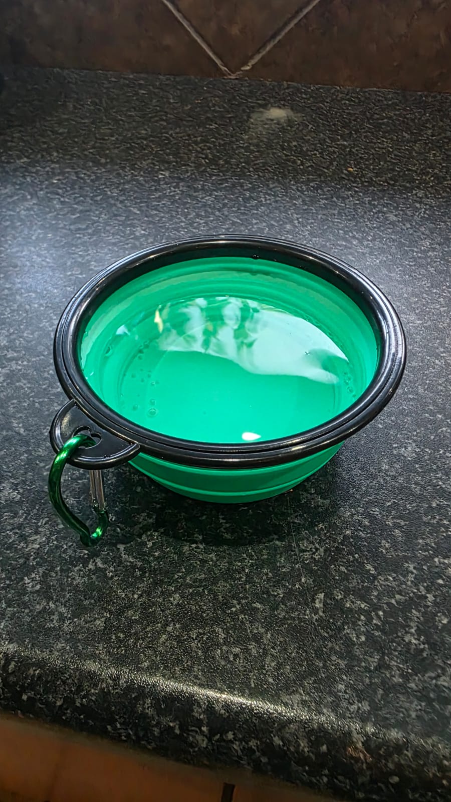 Portable Pet Folding Bowl