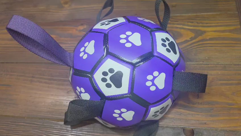 Socker Ball Dog Toy